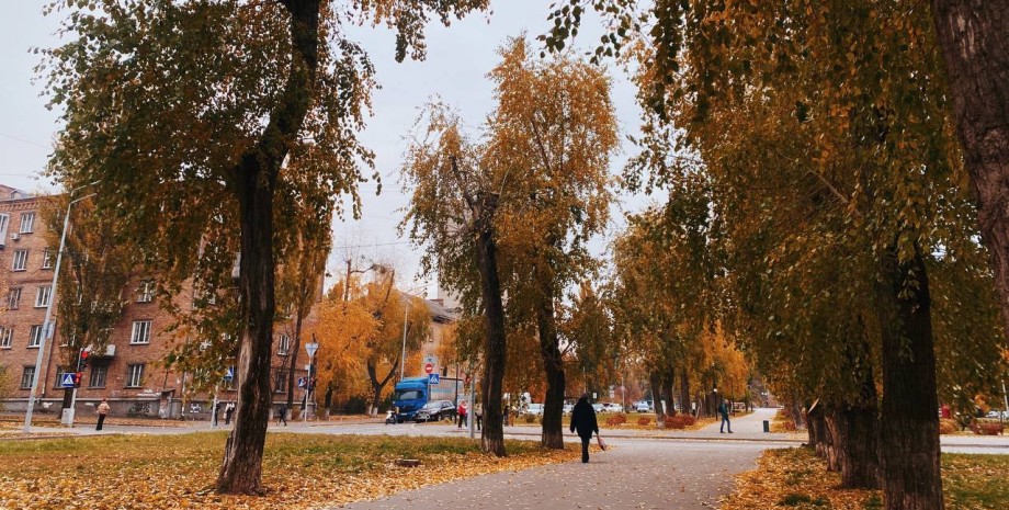 Ситуація змінюватиметься кожні кілька днів: чого очікувати від погоди в листопаді