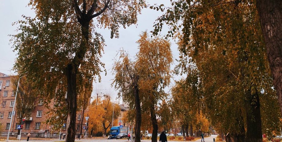 Улицы Киева