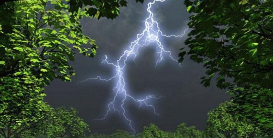 Фото: Хабар 24