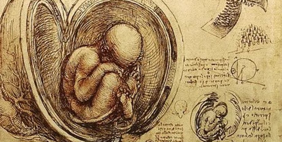 анатомия, цивилизация, исследование, тело, человек, строение, животное, предки, церемония, рана, бальзамирование, изучение, внутренности, наука, жрецы, печень, мумификация, травма, лечение, мозг, греки, египтяне, медицина