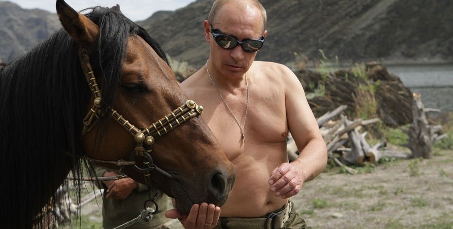 Путин, Владимир Путин, путин голый торс, путин на коне, путин большая семерка, голый путин фото, фото путина