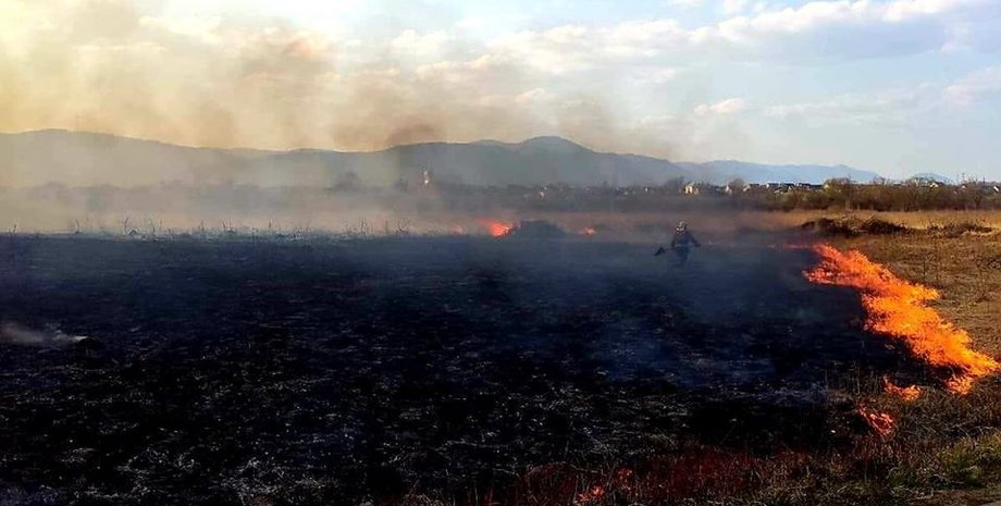 Фото: Прокуратура
