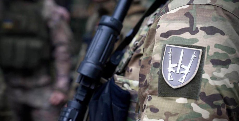 дук, Добровольческий украинский корпус, зсу, проверки, правый сектор