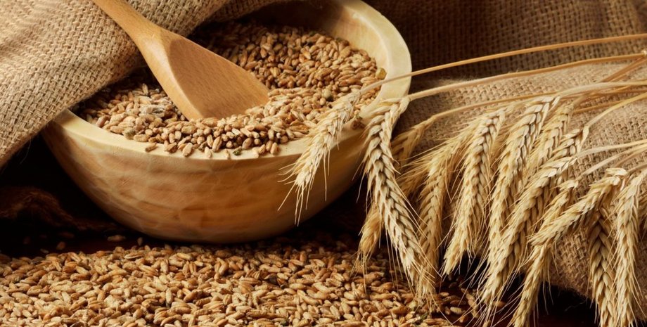 зерновые, урожай, украина, 2020