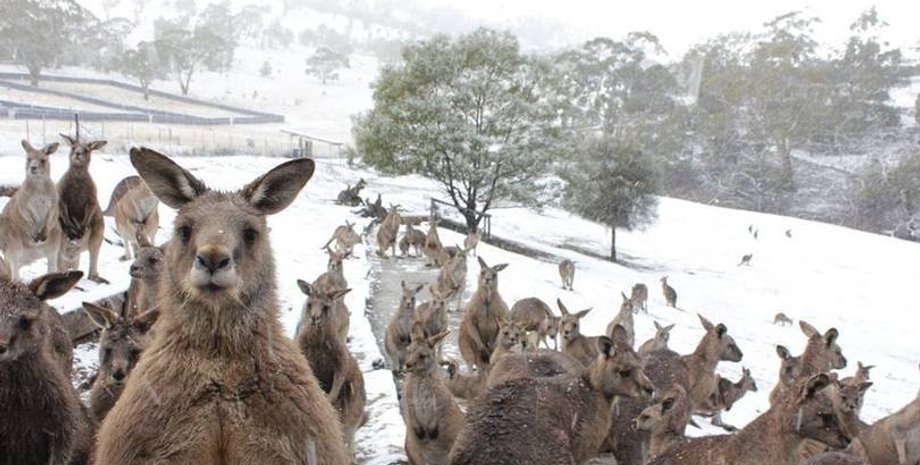 Фото: Пикабу