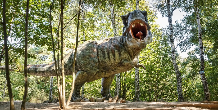 тираннозавр рекс, скульптура, дерева, фото