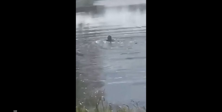 новини хмельницького, новини старокостянтинова, ухилянт, чоловік втікав від військкомів вплав, старий остропіль