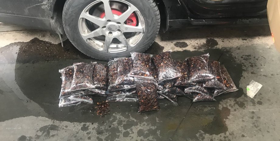 Фото: Госпогранслужба