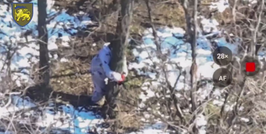 война в украине, ссс рф, наказание, баба яга, дрон, война с россией