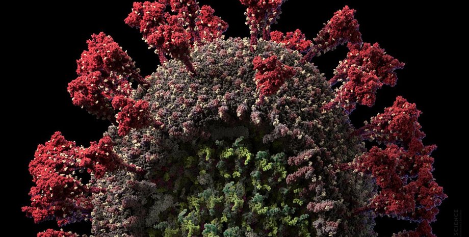 Скриншот видео