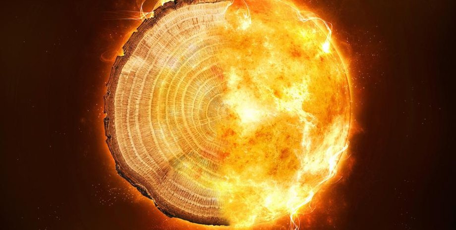 годичные кольца, солнце