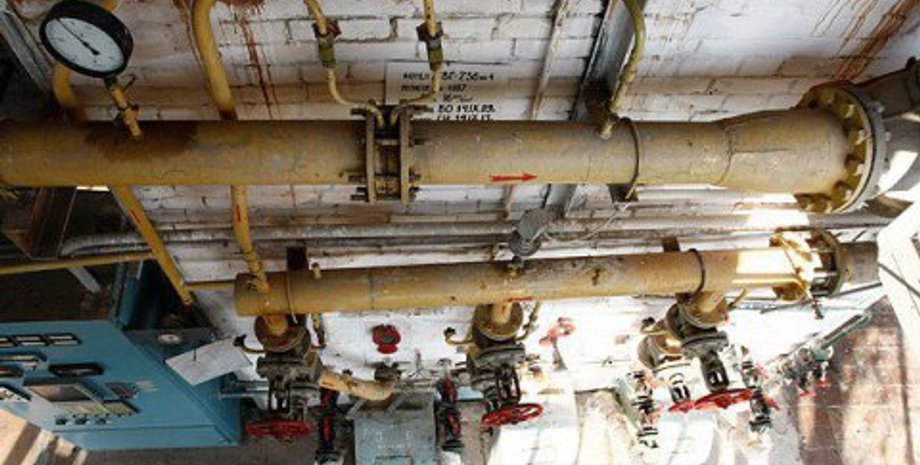 Фото: Макс Левин