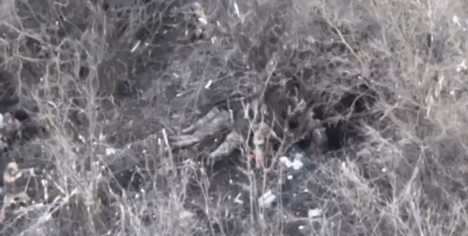 расстрел пленных расстрел пленных, бахмут, ивановское, война, фронт, бои