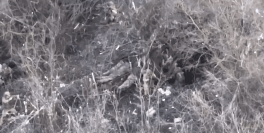 страта військових, розстріл військових, розслідувачі, зсу, бахмут, зс рф розстріляли бійців ЗСУ