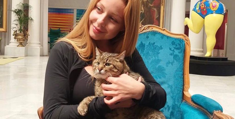 Тіна Кароль та кіт Степан, тіна кароль у каннах, кіт степан у каннах, де зараз кіт степан, харківський кіт степан