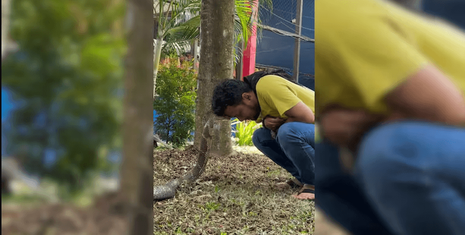 укротитель змей