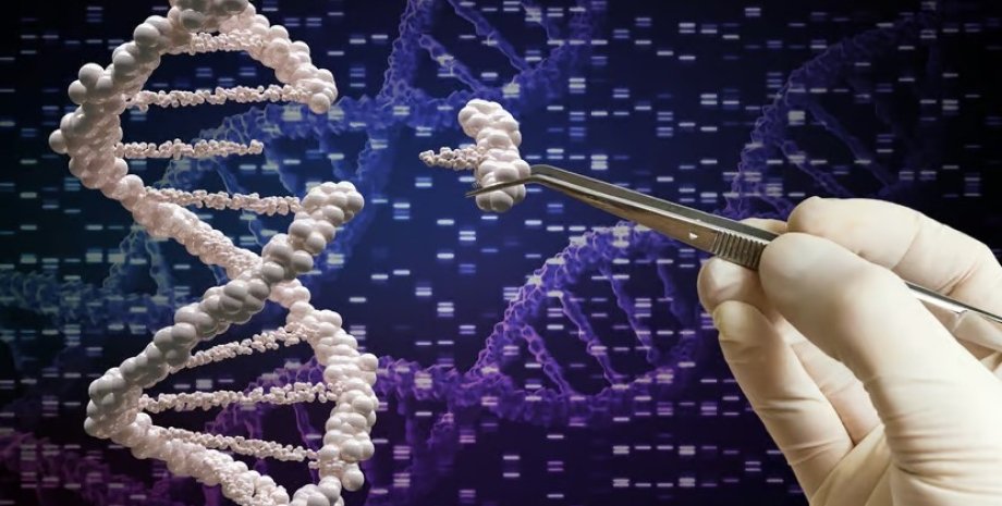 CRISPR, днк, редагування генів
