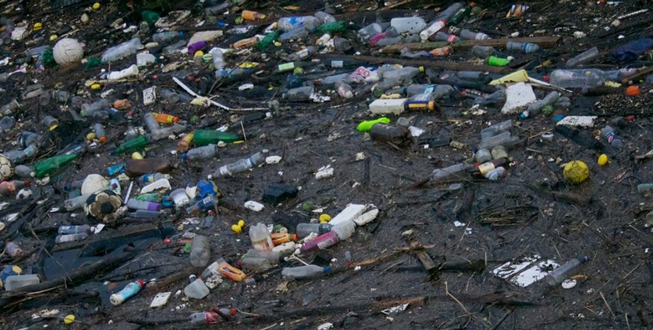 Фото: Flickr/EdinburghGreens