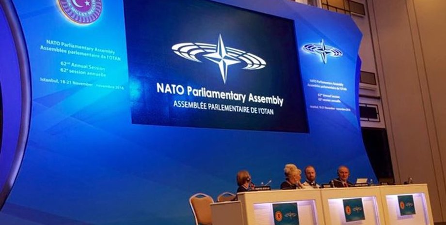 Парламентская ассамблея НАТО / Фото: facebook.com/Iryna.Friz