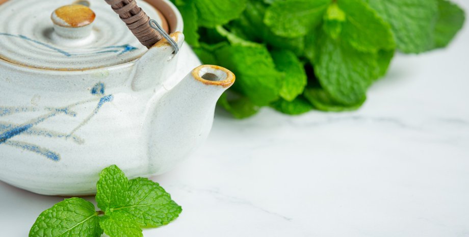 Листья мяты, мята польза, чем поолезна мята