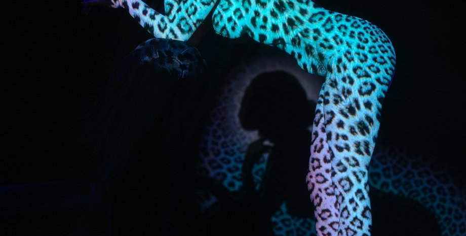 Діта фон Тіз, бурлеск, артистка