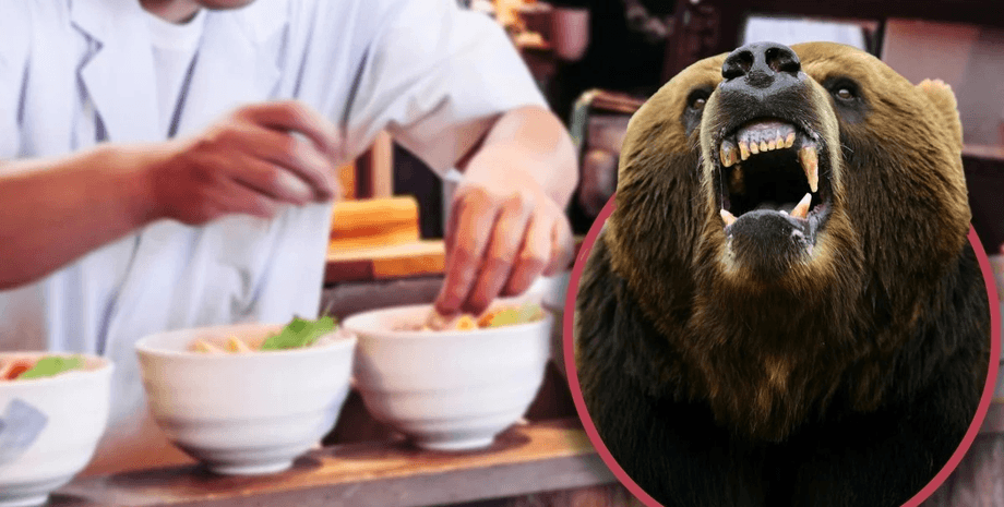 Повар отразил атаку медведя во время работы, а после продолжил готовить рамен