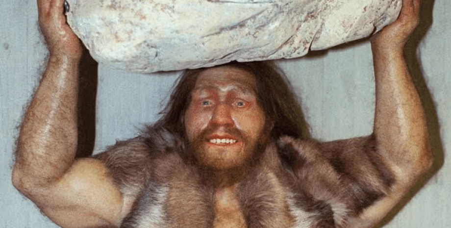 неандертальцы неандертальцы, грудная клетка, сила, выживание, охота, особенность, дыхание, кислород, анатомия, люди, эволюция, диафрагма, энергия, холод