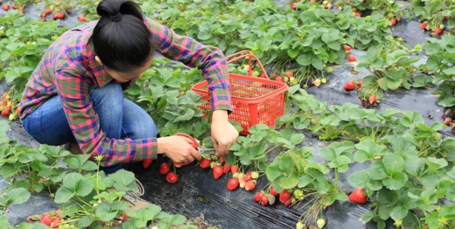 Фото:  Polsha24.com