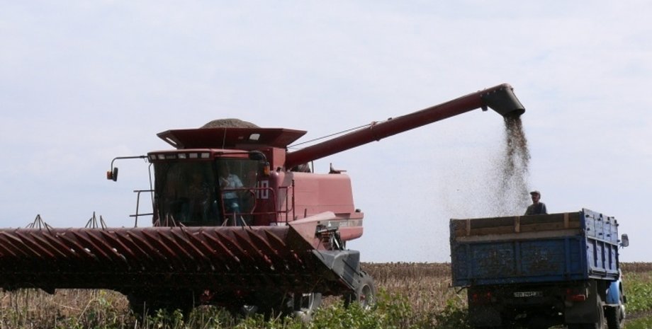 Лицензирование, агропродукция, экспорт