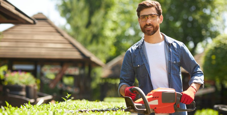 Сосед превратил сад мужчины в джунгли из-за одной незаметной мелочи