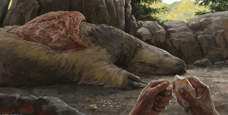 культура, Кловис, люди, ленивец, мегафауна, первые люди, Бразилия, кости, окаменелость, украшение, обработка, человечество, Америка, археология, артефакт, находка