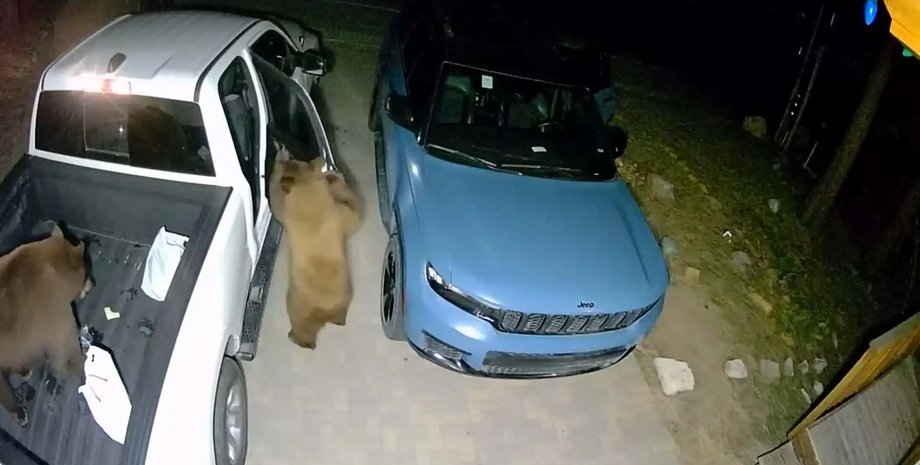 медведи в авто, Jeep Grand Cherokee