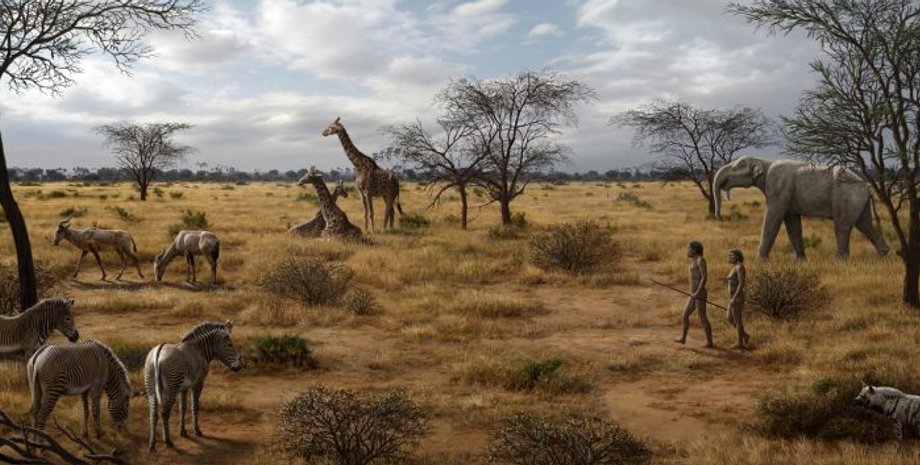 Homo erectus, животные, Африка