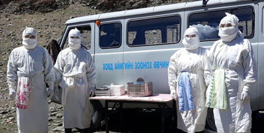 Фото: National Center for Zoonotic Diseases