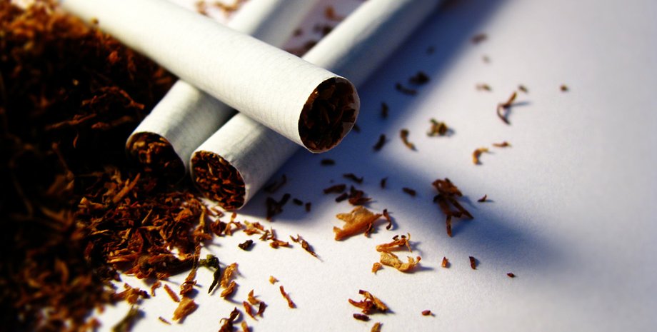 Фото: открытые источники