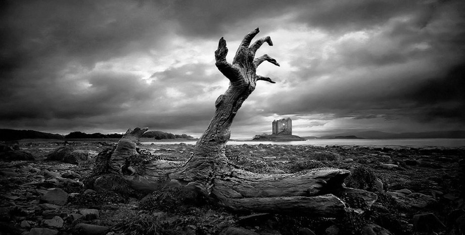 Фото: picswalls.com