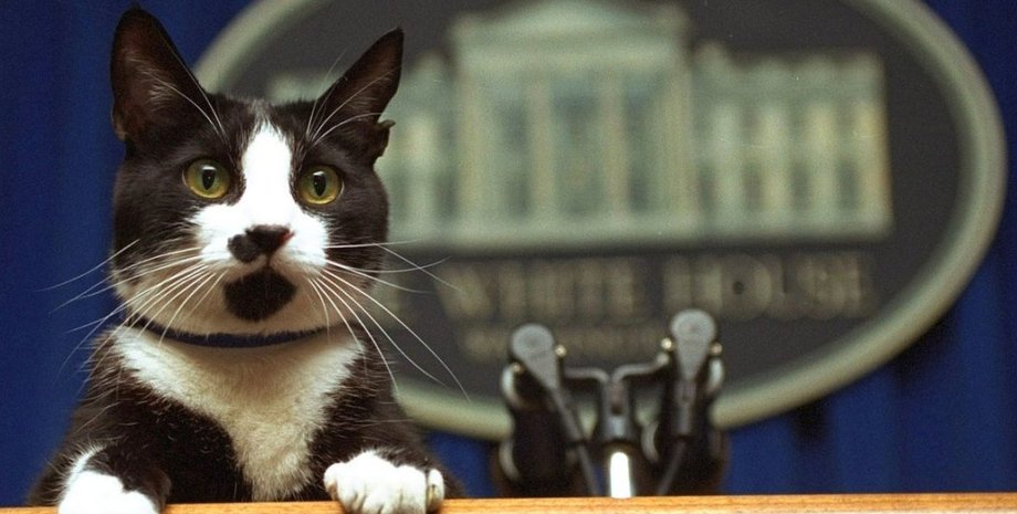 Фото: открытые источники