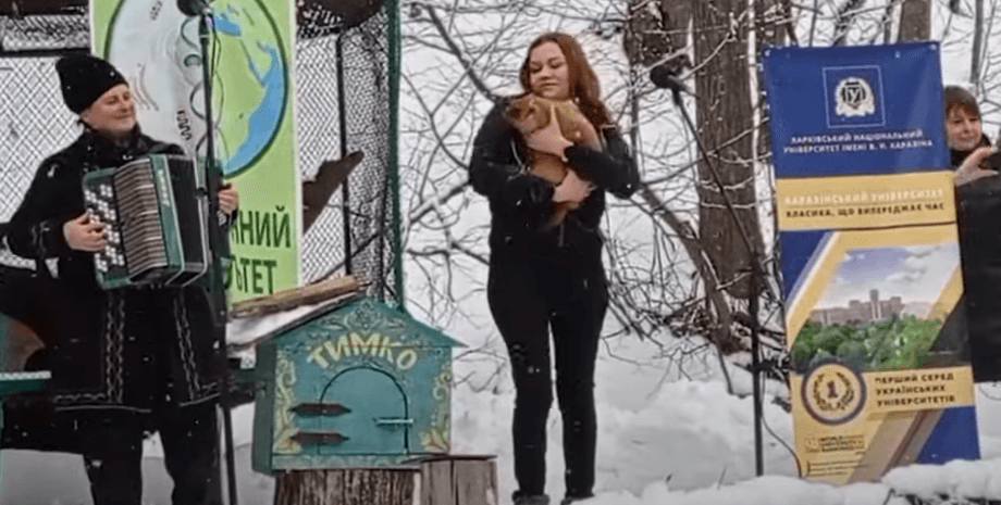 Тимко III, прогноз