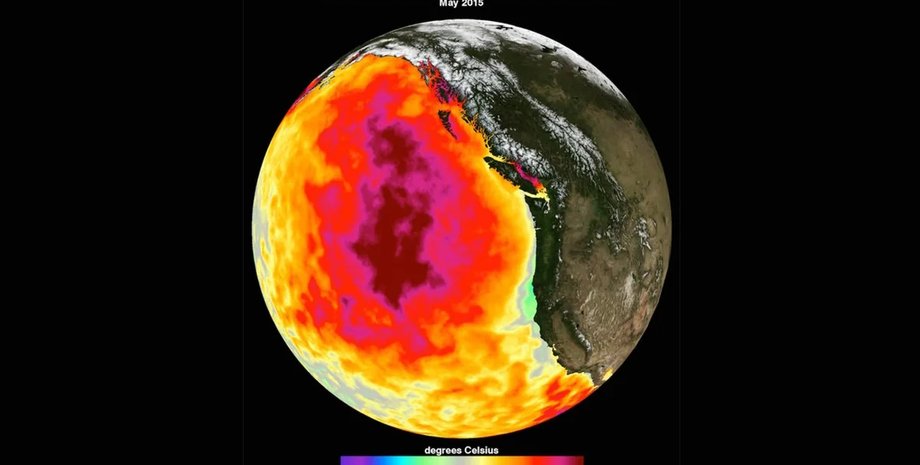 тихий океан температура