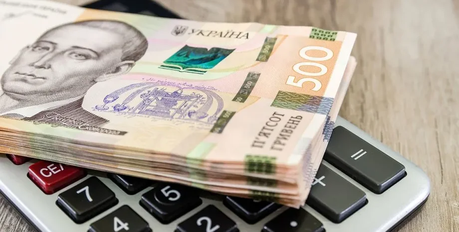 ФЛП могут получить помощь от государства из-за энергетического кризиса ФЛП деньги помощь