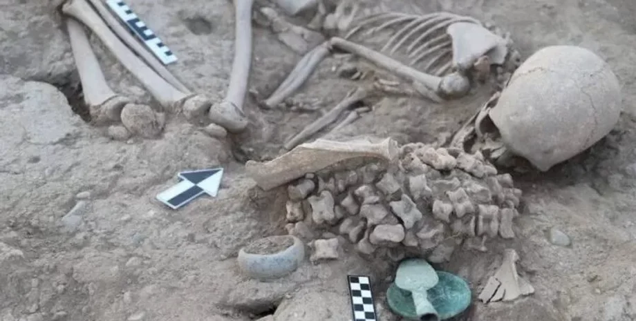 находка, курган, раскопки, кости, артефакт, девушка, захоронение, украшение, серебро, лягушка, серебряное украшение, вода, Казахстан