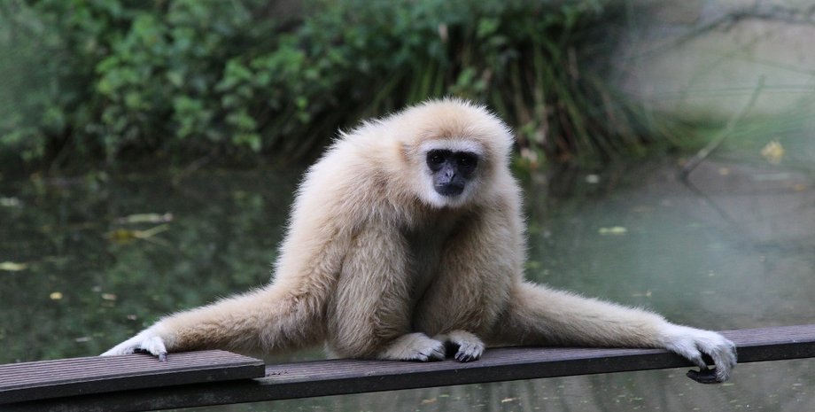 Фото пользователя Blue-Heaven на Pixabay