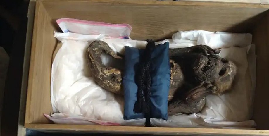 мумия, русалка, япония