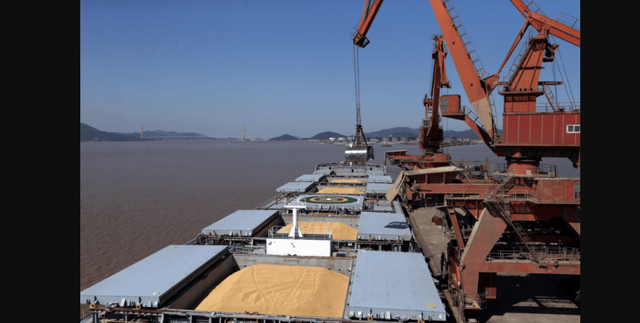 экспорт, зерно, объем, падение, украина, 2021, фото