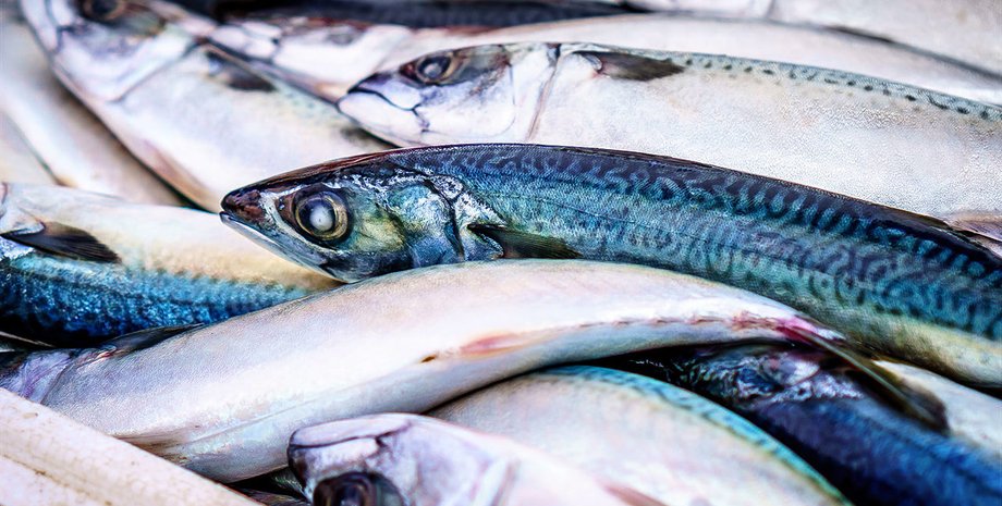 Пенсіонер вдарив змороженою скумбрією депутата