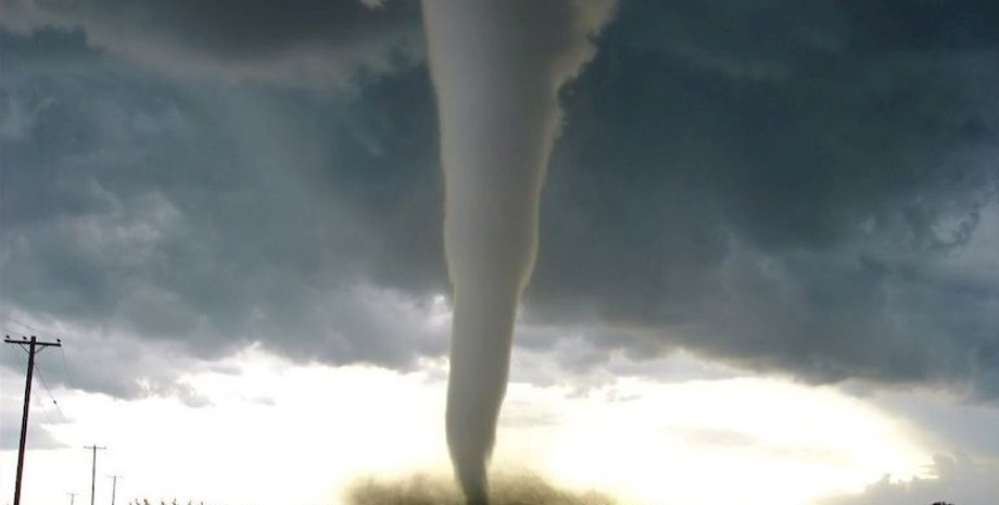 Фото: zhzh.com.ua