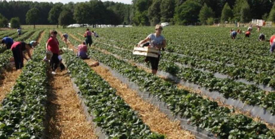 Фото: monitor-press.info