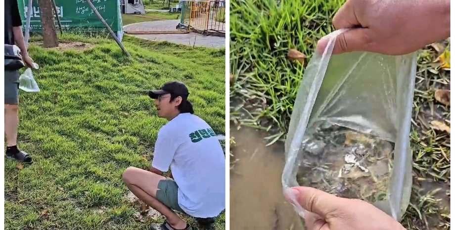 Неожиданный лайфхак: как отыскать потерянные вещи с помощью пакета с водой