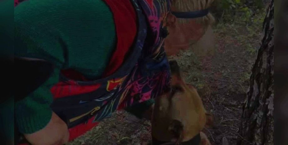 Евакуація з Харківської області