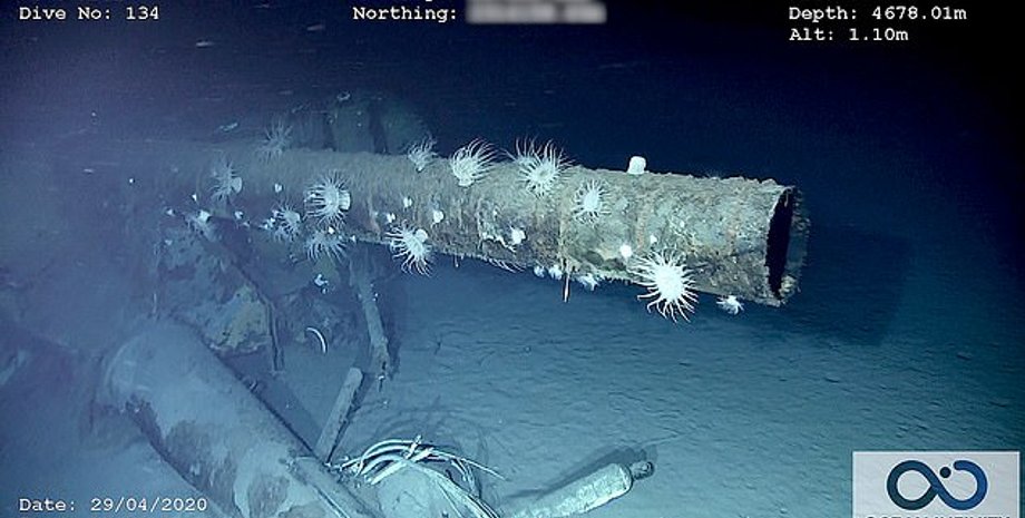 Фото: Ocean Infinity и Search Inc.